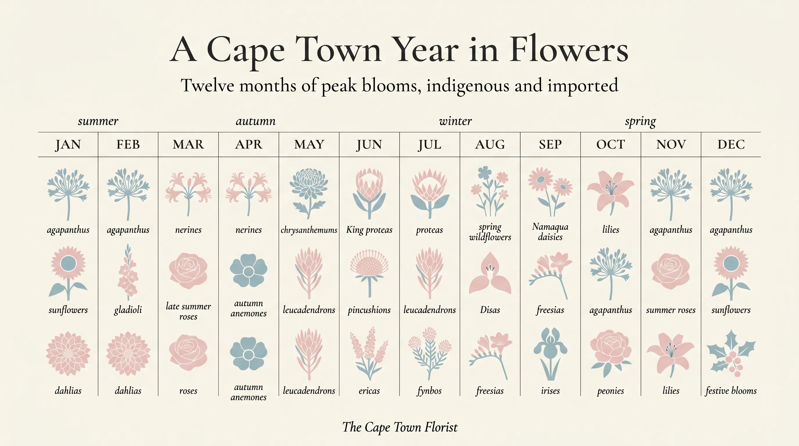 A Cape Town year in flowers — twelve months of peak blooms across summer, autumn, winter and spring