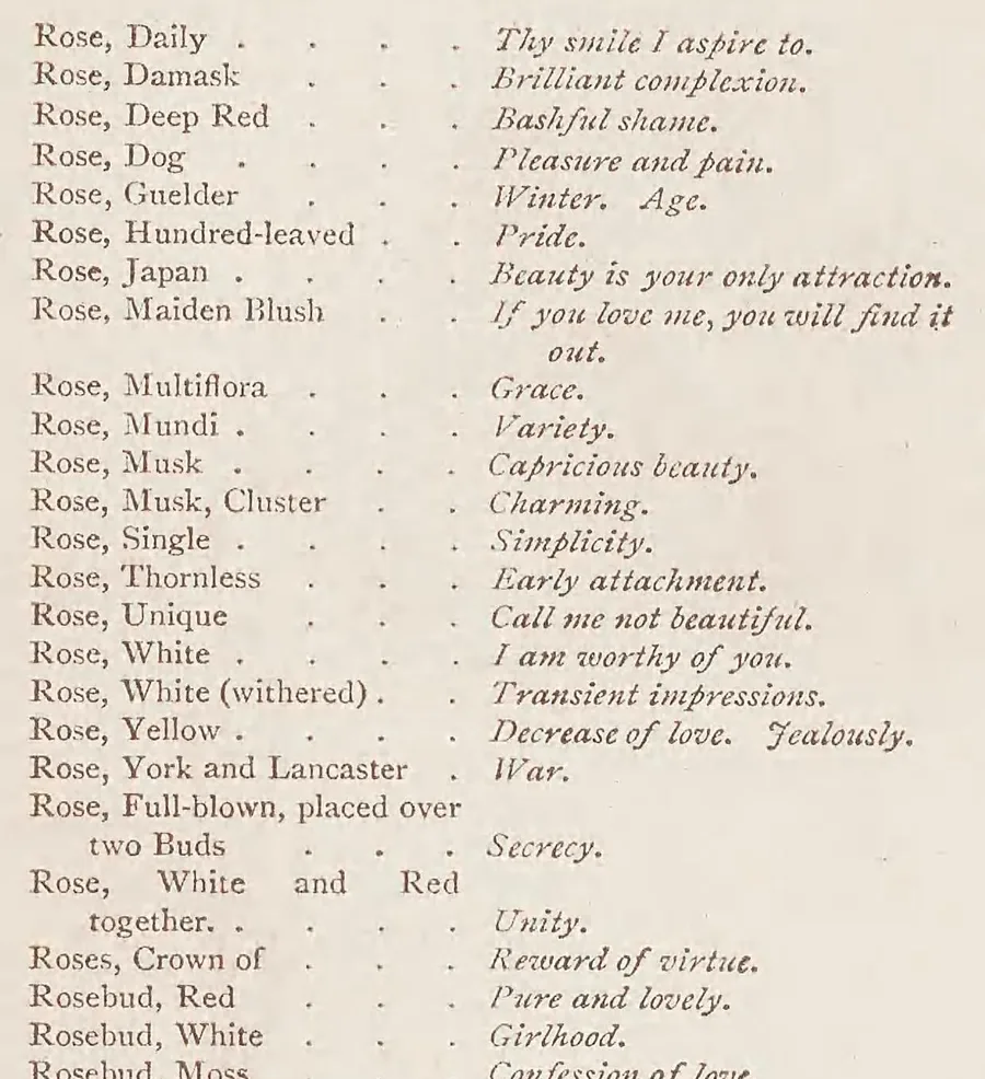 Scan of page 37 of Kate Greenaway's 1884 Language of Flowers listing rose meanings, including Rose, Yellow: Decrease of love. Jealously.